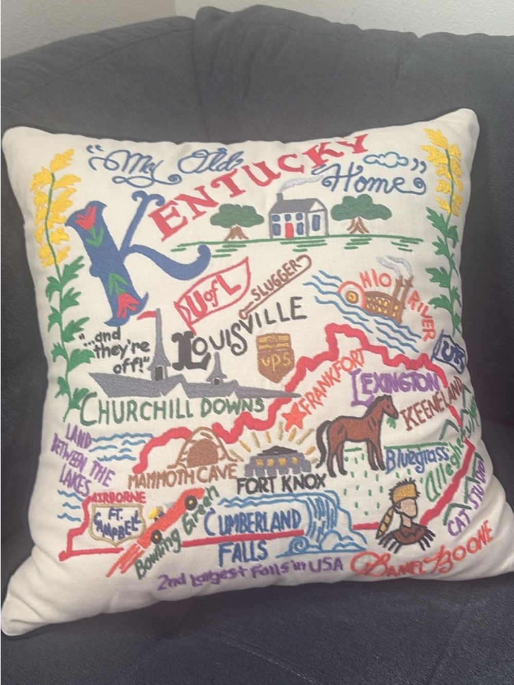 Catstudio Kentucky Embroidered Map Decorative Throw Pillow - White